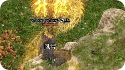 青草覆盖的秘境：幻术小径爆率升级